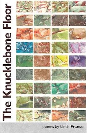 Cover for Linda France · The Knucklebone Floor (Pocketbok) (2022)