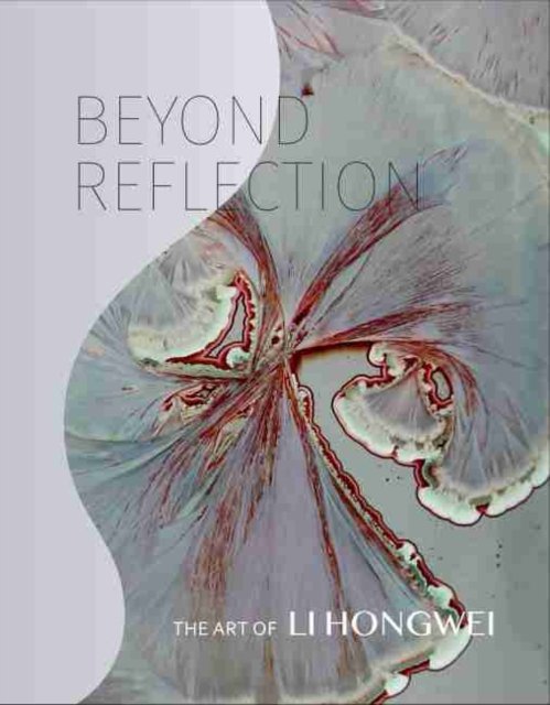 Cover for Tao Wang · Beyond Reflection: The Art of Li Hongwei (Gebundenes Buch) (2019)