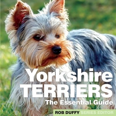 Cover for Yorkshire Terriers: The Essential Guide (Paperback Book) (2021)