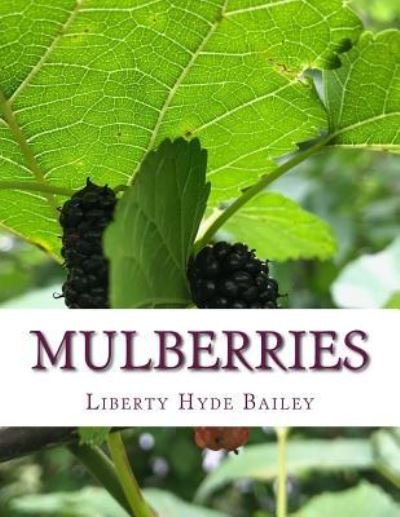 Cover for Liberty Hyde Bailey · Mulberries (Paperback Book) (2017)