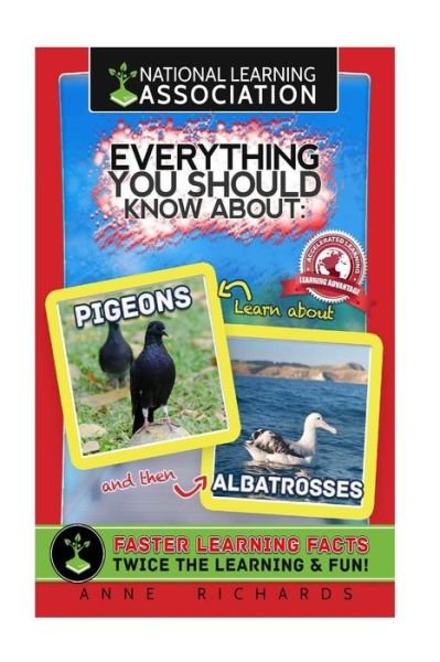 Cover for Anne Richards · Everything You Should Know About Pigeons and Albatrosses (Paperback Book) (2018)
