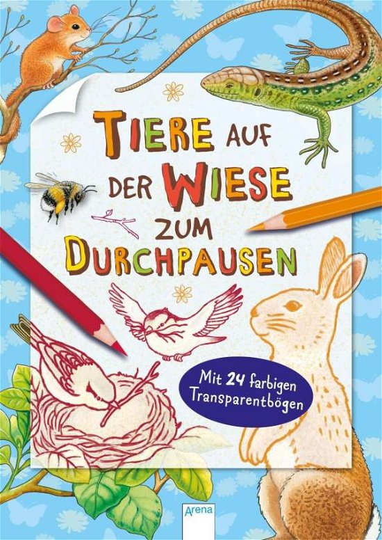 Cover for Hans-günther Döring · Tiere auf der Wiese zum Durchpausen (Book)