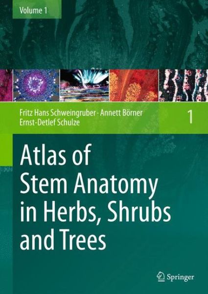 Cover for Fritz Hans Schweingruber · Atlas of Stem Anatomy in Herbs, Shrubs and Trees: Volume 1 (Hardcover bog) (2011)