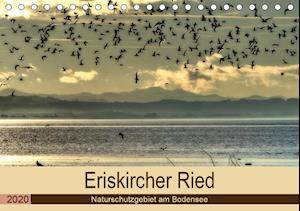 Cover for Brinker · Eriskircher Ried - Naturschutzg (Book)