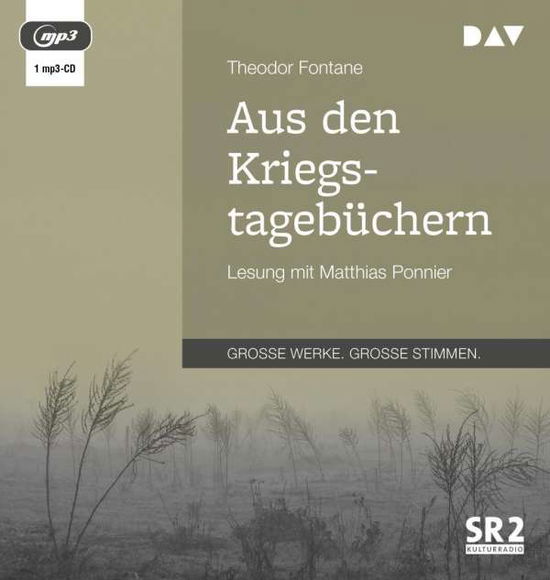 Cover for Theodor Fontane · Aus den Kriegstagebüchern (CD)