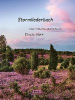 Cover for Theodor Storm · Stormliederbuch (Hardcover bog) (2022)