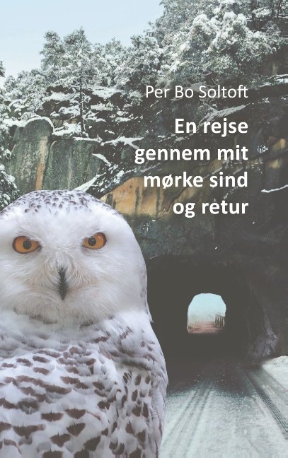 Cover for Per Bo Soltoft · En rejse gennem mit mørke sind og retur (Paperback Book) [1e uitgave] (2020)