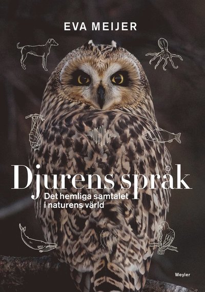 Cover for Eva Meijer · Djurens språk : det hemliga samtalet i naturens värld (Pocketbok) (2020)