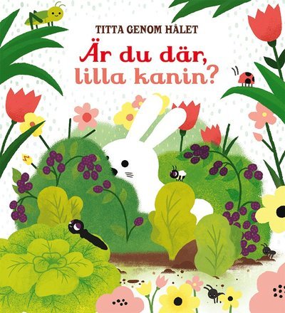 Cover for Sam Taplin · Titta genom hålet: Är du där, lilla kanin? (Board book) (2019)