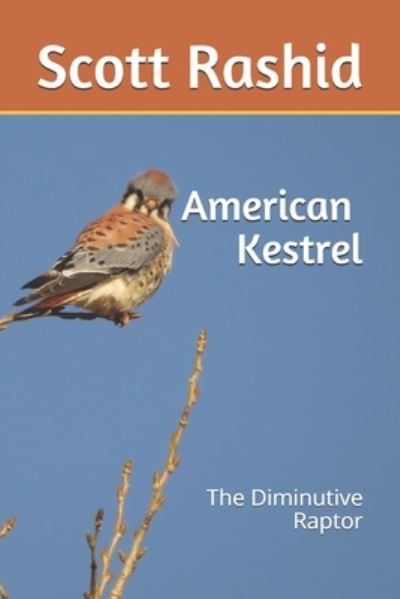 Scott D Rashid · The American Kestrel (Pocketbok) (2020)