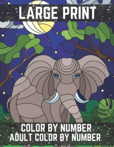 Large Print Color By Number Adult Color By Number - David Johnson - Books - Independently Published - 9798684509377 - September 9, 2020