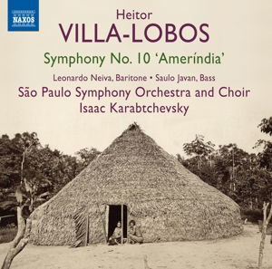 Cover for Villa-lobos / Neiva / Javan / Karabtchev · Sym 10 Amerindia (CD) (2014)