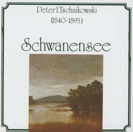 Swan Lake - Tchaikovsky / Phil Orch Bamberg / Radke - Muziek - BM - 4014513000378 - 1995