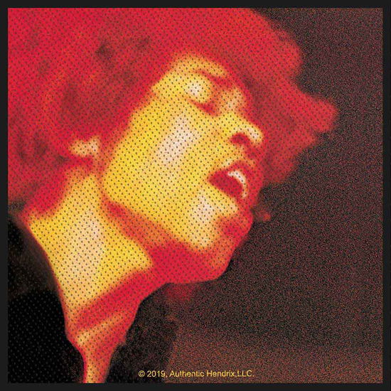 Cover for The Jimi Hendrix Experience · Jimi Hendrix Woven Patch: Electric Ladyland (Standard) (Patch) [Black edition] (2020)