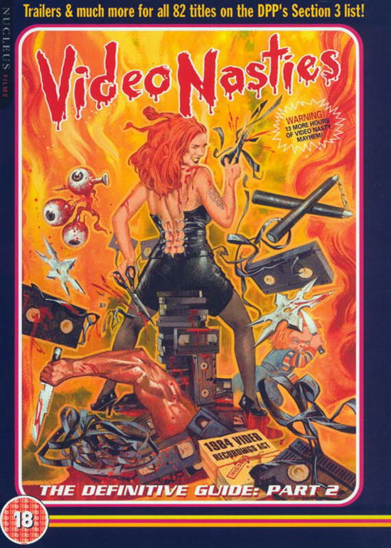 Cover for Video Nasties 2  Limited Collectors Edition · Video Nasties - The Definitive Guide 2 (DVD) (2014)
