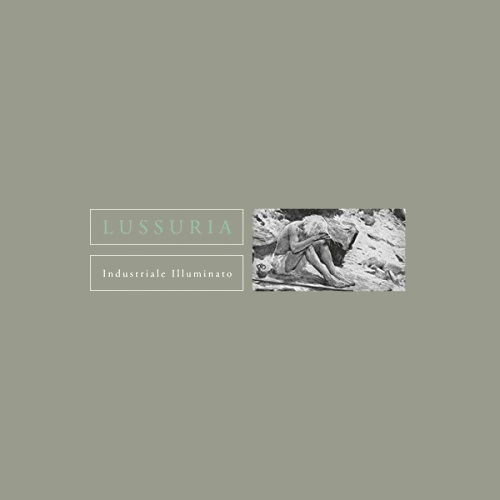 Cover for Lussuria · Industriale Illuminato (LP) (2014)