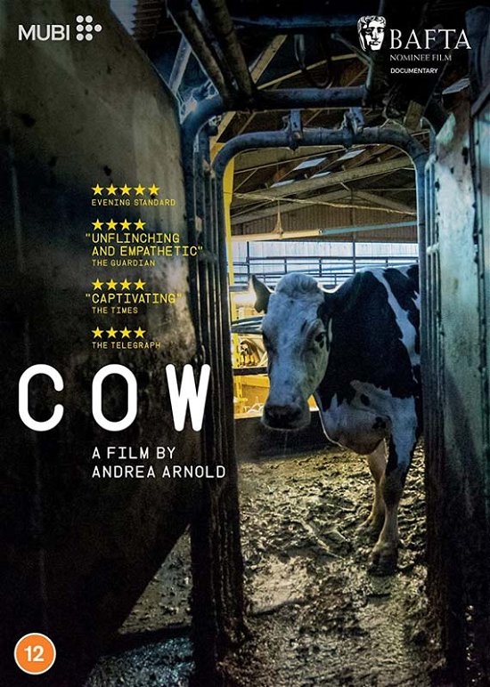 Cover for Andrea Arnold · Cow (DVD) (2022)