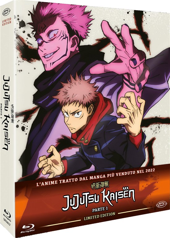 Cover for Jujutsu Kaisen · Jujutsu Kaisen - Limited Edition Box-Set #01 (Eps.01-13) (3 Blu-Ray) (Blu-ray)
