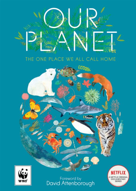 Cover for Matt Whyman · Our Planet: The One Place We All Call Home (Paperback Bog) (2025)