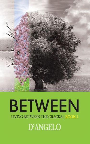 Between - D'Angelo - Boeken - Tellwell Talent - 9780228826378 - 19 augustus 2020