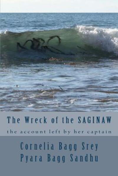 Cover for Cornelia Bagg Srey · The Wreck of the Saginaw (Paperback Book) (2017)