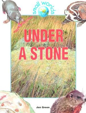 Cover for Jen Green · Under a Stone (Small Worlds) (Hardcover Book) (1998)