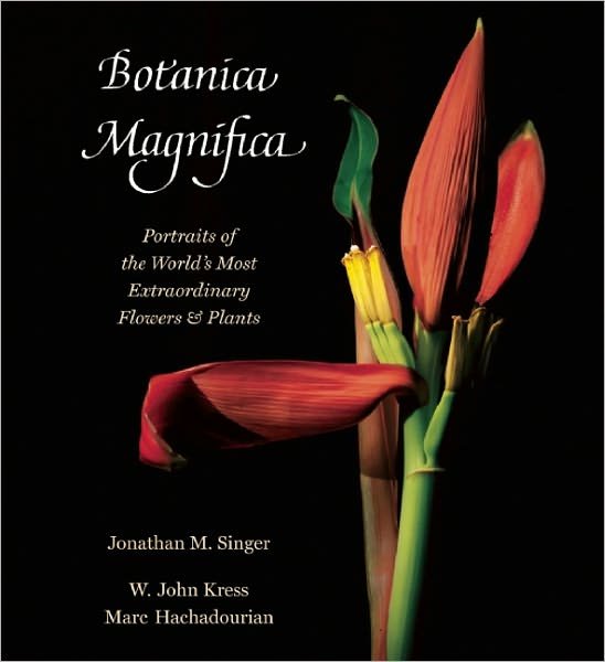Cover for Jonathan Singer · Botanica Magnifica: Portraits of the World's Most Extraordinary Flowers and Plants - Tiny Folio (Hardcover Book) (2013)