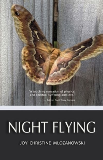 Cover for Joy Christine Mlozanowski · Night Flying (Paperback Book) (2020)