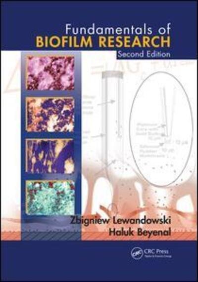 Cover for Zbigniew Lewandowski · Fundamentals of Biofilm Research (Taschenbuch) (2017)