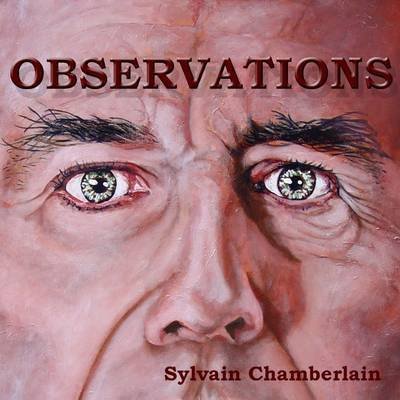 Cover for Chamberlain Nyudo Artist Monk Founder Director Tlk Sylvain · Observations (Pocketbok) (2013)