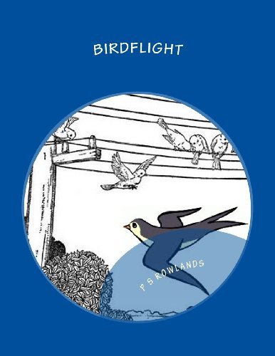 Cover for P S Rowlands · Birdflight: a Science Drama Playscript (Science Drama Playscripts) (Taschenbuch) (2013)