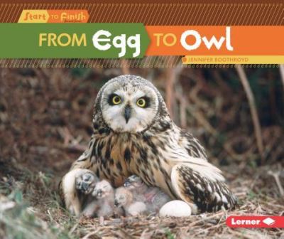 Cover for Jennifer Boothroyd · From Egg to Owl (Paperback Book) (2016)