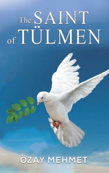 Cover for Zay Mehmet · Saint of Tlmen (Gebundenes Buch) (2021)