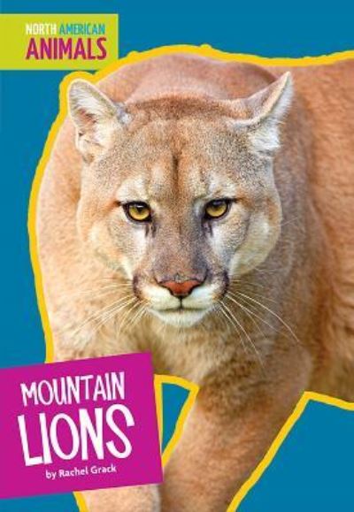 Cover for Rachel A. Koestler-Grack · Mountain Lions (Book) (2019)