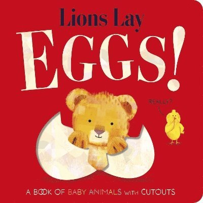 Cover for Becky Davies · Lions Lay Eggs! (Board book) (2025)