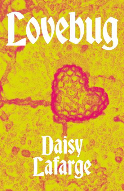 Cover for Daisy Lafarge · Lovebug (Pocketbok) (2023)