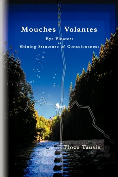 Cover for Floco Tausin · Mouches Volantes - Eye Floaters As Shining Structure of Consciousness (Paperback Book) (2009)