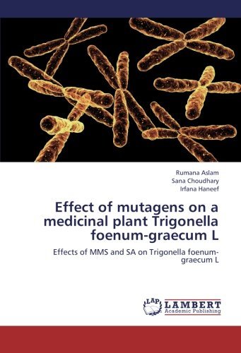 Cover for Irfana Haneef · Effect of Mutagens on a Medicinal Plant Trigonella Foenum-graecum L: Effects of Mms and Sa on Trigonella Foenum-graecum L (Pocketbok) (2012)