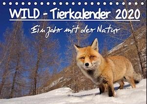 Cover for Colombo · WILD - Tierkalender 2020 (Tisch (Book)