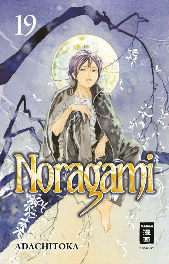 Cover for Adachitoka · Noragami 19 (Book)