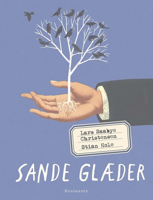 Sande glæder - Stian Hole; Lars Saabye Christensen - Libros - Rosinante - 9788763853378 - 25 de enero de 2018