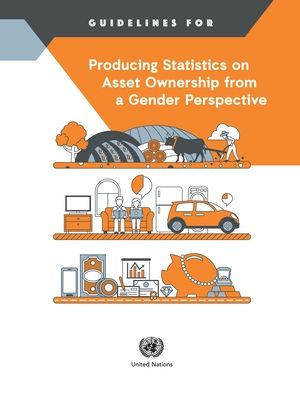 Cover for United Nations: Department of Economic and Social Affairs: Statistics Division · Guidelines for Producing Statistics on Asset Ownership from a Gender Perspective - Studies in methods (Paperback Book) (2020)