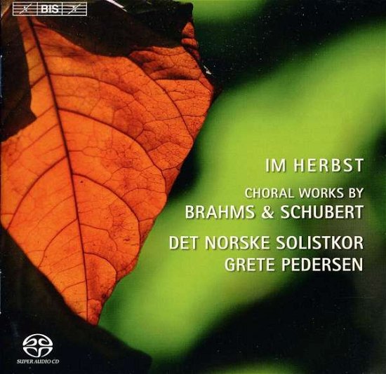 Cover for J. Brahms · Nine Songs from Zigeunerlieder (SACD) (2011)