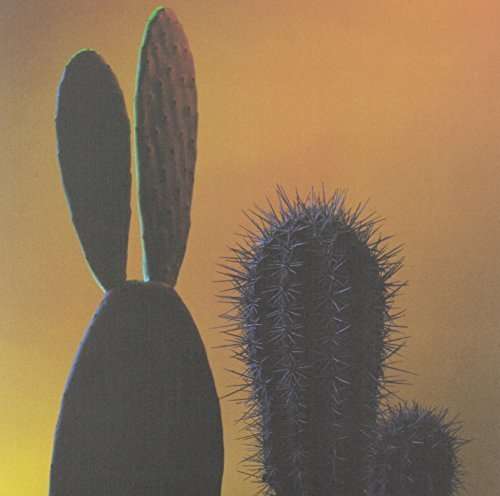 Cover for Quitapenas · Mas Tropical (LP) (2013)