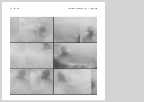 Cover for Jan Jelinek · Seascape - Polyptych (LP) (2023)