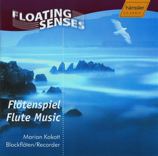 Cover for Marion Kokott · Flötenspiel *s* (CD) (2004)