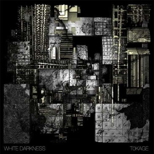 Cover for White Darkness · Tokage (LP) (2011)