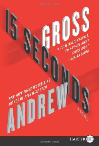 Cover for Andrew Gross · 15 Seconds Lp: a Novel (Paperback Bog) [Lrg edition] (2012)