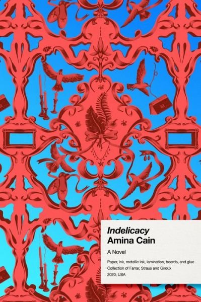 Cover for Amina Cain · Indelicacy: A Novel (Hardcover bog) (2020)