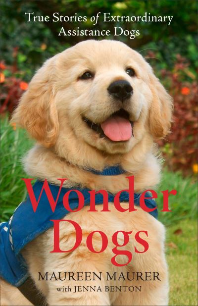 Cover for Maureen Maurer · Wonder Dogs – True Stories of Extraordinary Assistance Dogs (Paperback Book) (2021)